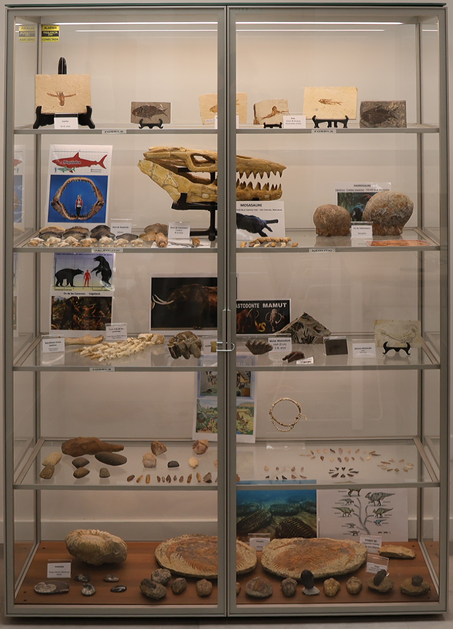 showcase1.png